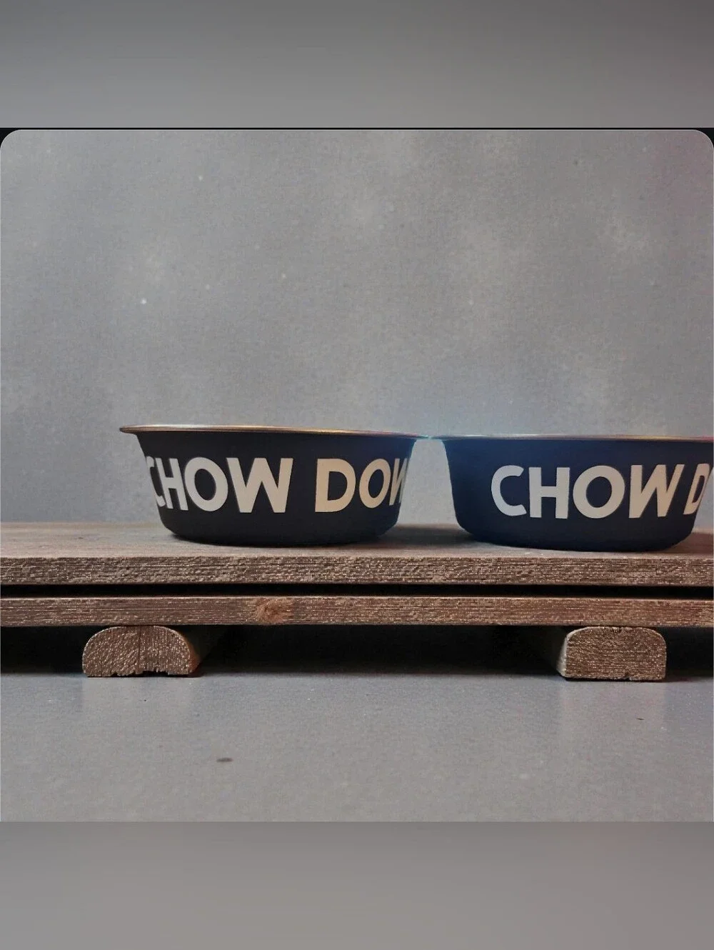 Chow Down Pet Bowls - NEW